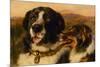 The Twa Dogs-Edwin Landseer-Mounted Premium Giclee Print