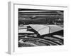 The Twa Terminal, Designed by Eero Saarinen-Dmitri Kessel-Framed Premium Photographic Print