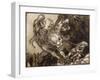 The Twelfth Labour of Hercules, Illustration from 'The Greek Heroes' by B.G. Niebuhr, 1903-Arthur Rackham-Framed Giclee Print