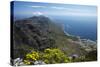 The Twelve Apostles and Atlantic Seaboard, Cape Town, South Africa-David Wall-Stretched Canvas
