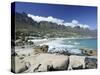 The Twelve Apostles, Camps Bay, Cape Town, Cape Province, South Africa, Africa-Peter Groenendijk-Stretched Canvas