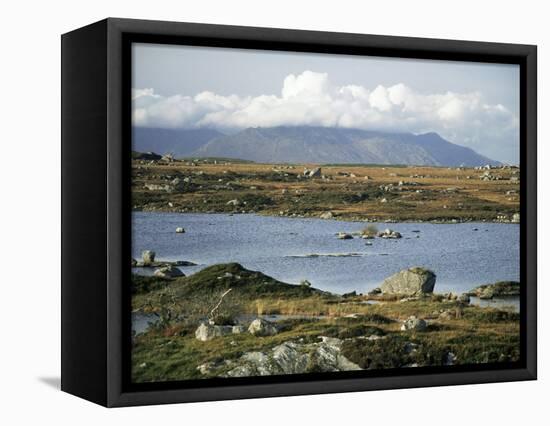 The Twelve Pins Mountains Rise Above Loughans on the Lowland, Connemara, County Galway, Eire-Tony Waltham-Framed Stretched Canvas