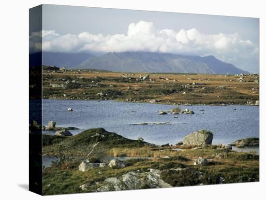 The Twelve Pins Mountains Rise Above Loughans on the Lowland, Connemara, County Galway, Eire-Tony Waltham-Stretched Canvas