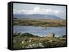 The Twelve Pins Mountains Rise Above Loughans on the Lowland, Connemara, County Galway, Eire-Tony Waltham-Framed Stretched Canvas