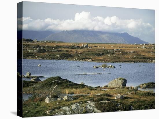 The Twelve Pins Mountains Rise Above Loughans on the Lowland, Connemara, County Galway, Eire-Tony Waltham-Stretched Canvas