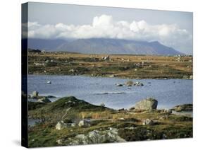 The Twelve Pins Mountains Rise Above Loughans on the Lowland, Connemara, County Galway, Eire-Tony Waltham-Stretched Canvas