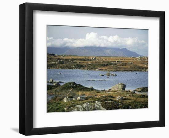 The Twelve Pins Mountains Rise Above Loughans on the Lowland, Connemara, County Galway, Eire-Tony Waltham-Framed Photographic Print