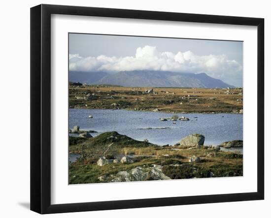 The Twelve Pins Mountains Rise Above Loughans on the Lowland, Connemara, County Galway, Eire-Tony Waltham-Framed Photographic Print