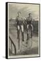 The Twenty-Five Miles' Race for the Amateur Bicycle Championship at Lillie Bridge-null-Framed Stretched Canvas