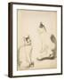 The Two Cats; Les Deux Chats-Theophile Alexandre Steinlen-Framed Giclee Print