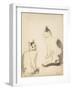 The Two Cats; Les Deux Chats-Theophile Alexandre Steinlen-Framed Giclee Print