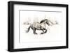 The Two Friends-Sebastian Graf-Framed Photographic Print