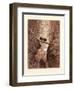 The Two Goats-Gustave Dore-Framed Premium Giclee Print