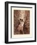 The Two Goats-Gustave Dore-Framed Premium Giclee Print