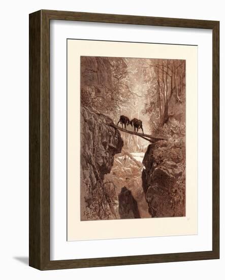 The Two Goats-Gustave Dore-Framed Giclee Print