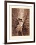 The Two Goats-Gustave Dore-Framed Giclee Print