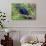 The Two Hyacinth Macaw-Howard Ruby-Photographic Print displayed on a wall