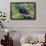 The Two Hyacinth Macaw-Howard Ruby-Framed Photographic Print displayed on a wall