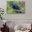 The Two Hyacinth Macaw-Howard Ruby-Stretched Canvas displayed on a wall