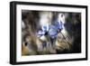 The Two of Us-Fabien Bravin-Framed Photographic Print