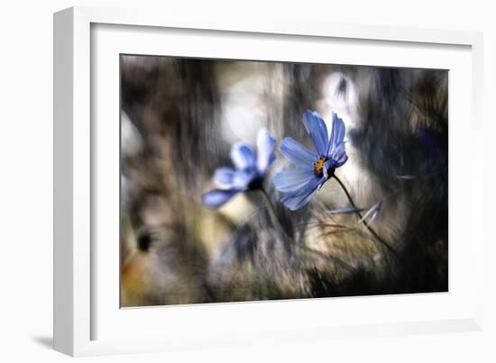 The Two of Us-Fabien Bravin-Framed Photographic Print