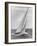 The Two Sail Sailboat Vigorously Gliding Through the Water During the America's Cup Trail-George Silk-Framed Photographic Print