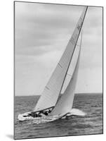 The Two Sail Sailboat Vigorously Gliding Through the Water During the America's Cup Trail-George Silk-Mounted Photographic Print