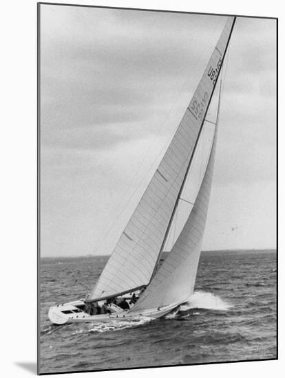 The Two Sail Sailboat Vigorously Gliding Through the Water During the America's Cup Trail-George Silk-Mounted Photographic Print