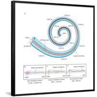 The Two Sensory Organs of Balance-Encyclopaedia Britannica-Framed Poster