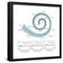 The Two Sensory Organs of Balance-Encyclopaedia Britannica-Framed Poster