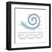 The Two Sensory Organs of Balance-Encyclopaedia Britannica-Framed Art Print