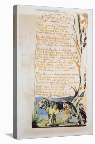 The Tyger, from Songs of Innocence-William Blake-Stretched Canvas