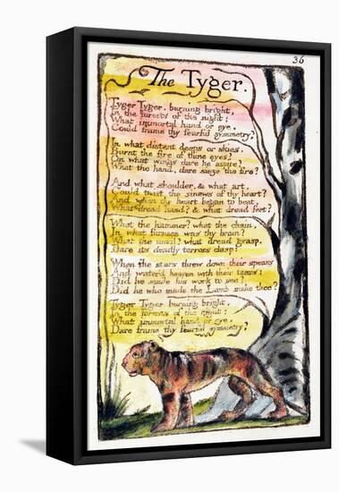 The Tyger', Plate 36 (Bentley 42) from 'Songs of Innocence and of Experience' (Bentley Copy L)-William Blake-Framed Stretched Canvas