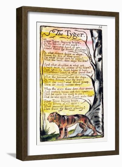 The Tyger', Plate 36 (Bentley 42) from 'Songs of Innocence and of Experience' (Bentley Copy L)-William Blake-Framed Giclee Print