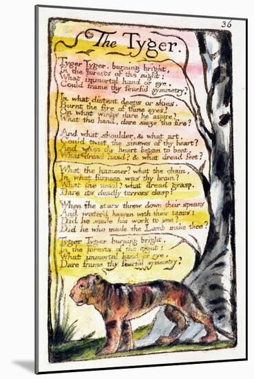 The Tyger', Plate 36 (Bentley 42) from 'Songs of Innocence and of Experience' (Bentley Copy L)-William Blake-Mounted Giclee Print