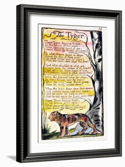The Tyger', Plate 36 (Bentley 42) from 'Songs of Innocence and of Experience' (Bentley Copy L)-William Blake-Framed Giclee Print