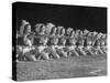 The Tyler Apache Belles of Tyler Junior College-Joe Scherschel-Stretched Canvas