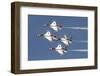 The U.S. Air Force Thunderbirds Fly in Formation-Stocktrek Images-Framed Photographic Print