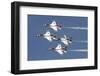 The U.S. Air Force Thunderbirds Fly in Formation-Stocktrek Images-Framed Photographic Print