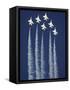 The U.S. Air Force Thunderbirds-null-Framed Stretched Canvas