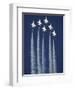 The U.S. Air Force Thunderbirds-null-Framed Photographic Print