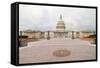 The U.S. Capitol - Washington Dc, United States-Orhan-Framed Stretched Canvas