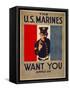 The U.S. Marines Want You, circa 1917-Charles Buckles Falls-Framed Stretched Canvas