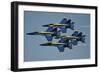 The U.S. Navy Flight Demonstration Squadron, the Blue Angels-null-Framed Premium Photographic Print