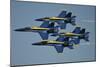 The U.S. Navy Flight Demonstration Squadron, the Blue Angels-null-Mounted Premium Photographic Print