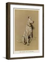 The Ugliest Dog in the Show-Cecil Aldin-Framed Art Print