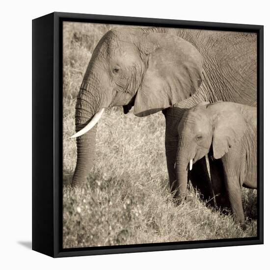 The Ultimate Bonding-Susann Parker-Framed Stretched Canvas