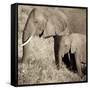 The Ultimate Bonding-Susann Parker-Framed Stretched Canvas