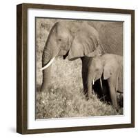 The Ultimate Bonding-Susann Parker-Framed Photographic Print