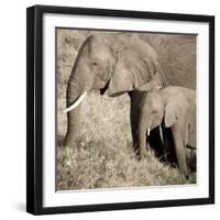 The Ultimate Bonding-Susann Parker-Framed Photographic Print